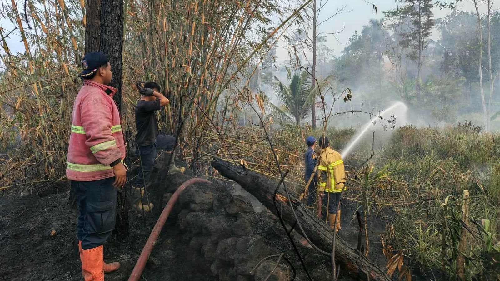 Petugas gabungan bahu membahu memadamkan lahan yang di lalap si jago merah di Desa Sima, Kecamatan Moga, Kabupaten Pemalang, Provinsi Jawa Tengah (22/9). (Sumber: Dokumentasi BPBD Kabupaten Pemalang)