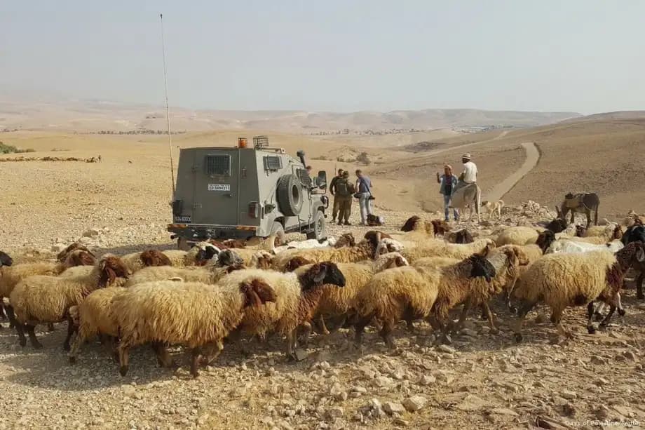 Warga Israel Serang Pemukim Palestina di Nablus, Domba Dijarah